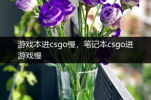 游戏本进csgo慢，笔记本csgo进游戏慢