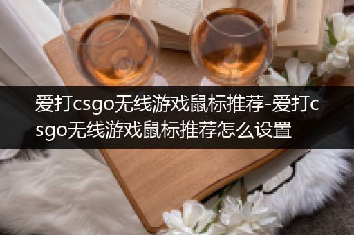 爱打csgo无线游戏鼠标推荐-爱打csgo无线游戏鼠标推荐怎么设置