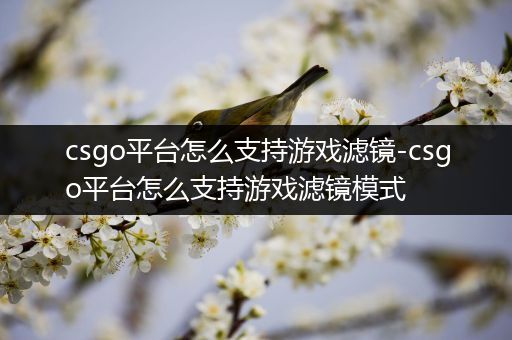 csgo平台怎么支持游戏滤镜-csgo平台怎么支持游戏滤镜模式