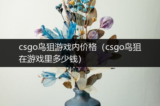 csgo鸟狙游戏内价格（csgo鸟狙在游戏里多少钱）