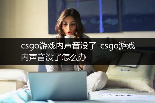 csgo游戏内声音没了-csgo游戏内声音没了怎么办