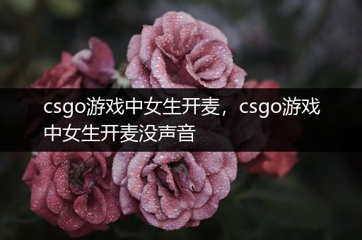 csgo游戏中女生开麦，csgo游戏中女生开麦没声音