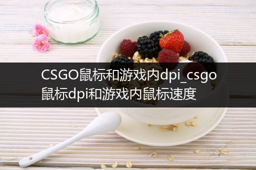 CSGO鼠标和游戏内dpi_csgo鼠标dpi和游戏内鼠标速度