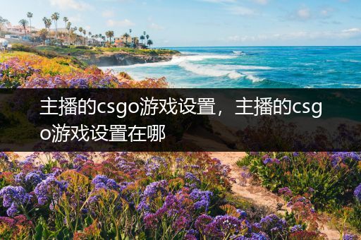 主播的csgo游戏设置，主播的csgo游戏设置在哪