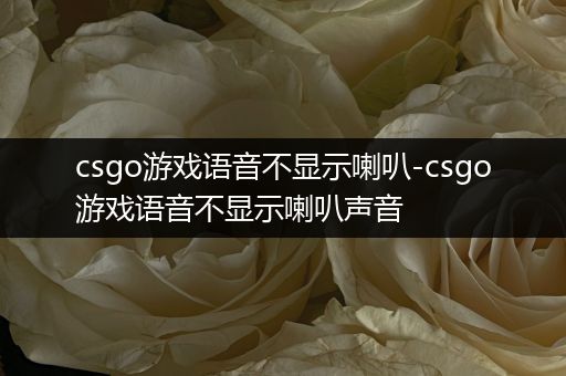 csgo游戏语音不显示喇叭-csgo游戏语音不显示喇叭声音