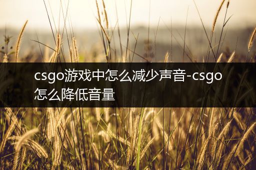 csgo游戏中怎么减少声音-csgo怎么降低音量