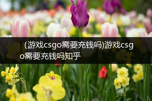 （游戏csgo需要充钱吗)游戏csgo需要充钱吗知乎