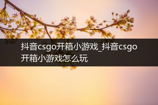 抖音csgo开箱小游戏_抖音csgo开箱小游戏怎么玩