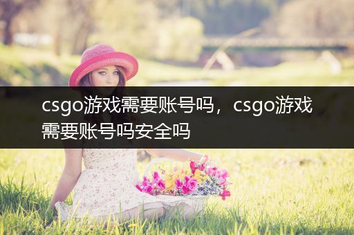 csgo游戏需要账号吗，csgo游戏需要账号吗安全吗
