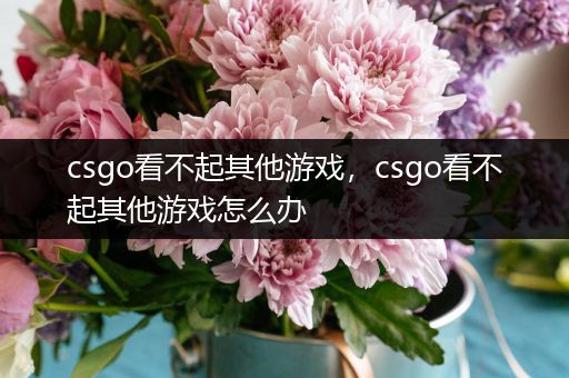 csgo看不起其他游戏，csgo看不起其他游戏怎么办