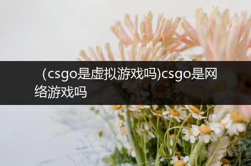 （csgo是虚拟游戏吗)csgo是网络游戏吗