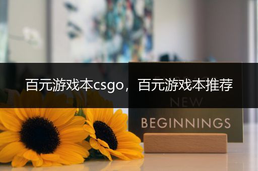 百元游戏本csgo，百元游戏本推荐