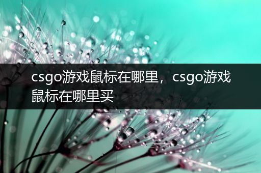 csgo游戏鼠标在哪里，csgo游戏鼠标在哪里买
