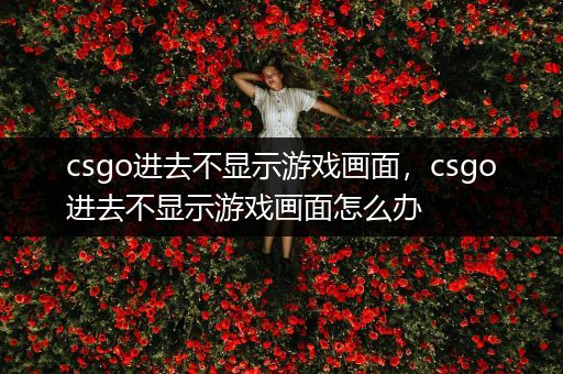 csgo进去不显示游戏画面，csgo进去不显示游戏画面怎么办