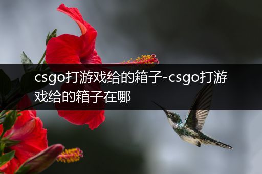 csgo打游戏给的箱子-csgo打游戏给的箱子在哪