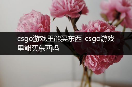 csgo游戏里能买东西-csgo游戏里能买东西吗