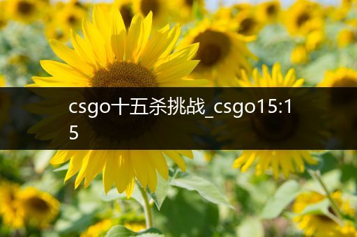 csgo十五杀挑战_csgo15:15
