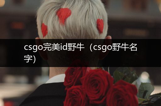 csgo完美id野牛（csgo野牛名字）