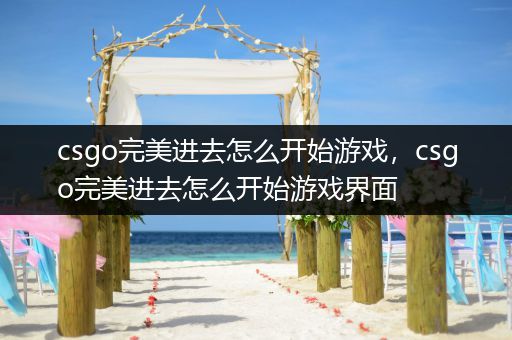 csgo完美进去怎么开始游戏，csgo完美进去怎么开始游戏界面
