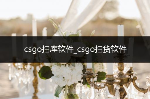 csgo扫库软件_csgo扫货软件