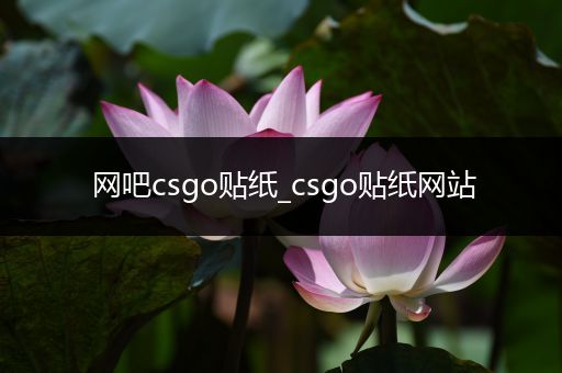 网吧csgo贴纸_csgo贴纸网站