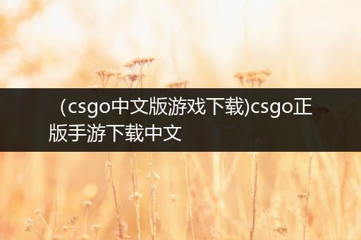 （csgo中文版游戏下载)csgo正版手游下载中文