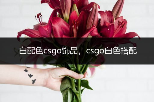 白配色csgo饰品，csgo白色搭配