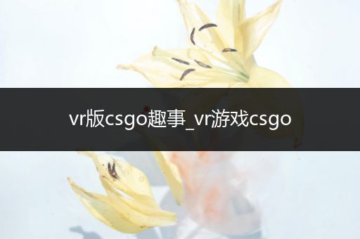 vr版csgo趣事_vr游戏csgo