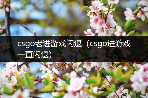 csgo老进游戏闪退（csgo进游戏一直闪退）