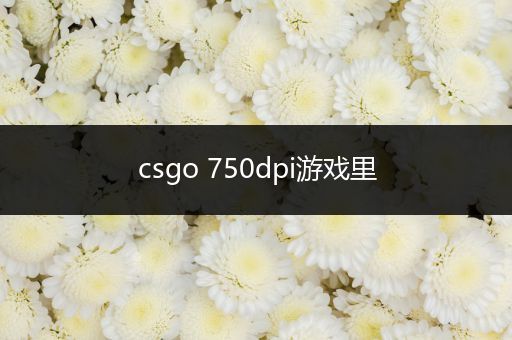 csgo 750dpi游戏里