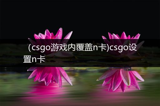 （csgo游戏内覆盖n卡)csgo设置n卡