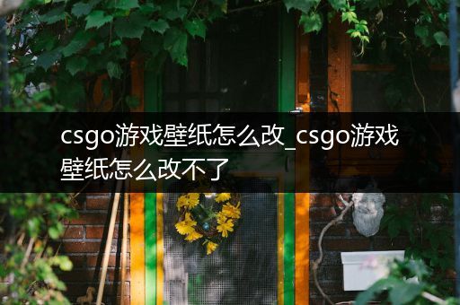 csgo游戏壁纸怎么改_csgo游戏壁纸怎么改不了