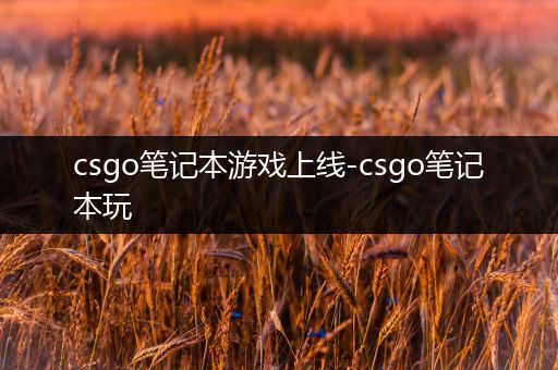 csgo笔记本游戏上线-csgo笔记本玩