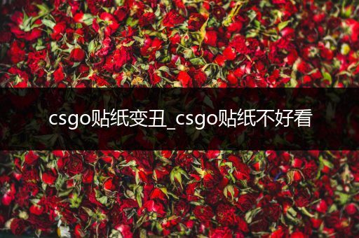 csgo贴纸变丑_csgo贴纸不好看