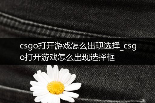 csgo打开游戏怎么出现选择_csgo打开游戏怎么出现选择框