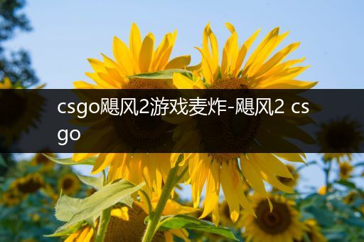 csgo飓风2游戏麦炸-飓风2 csgo