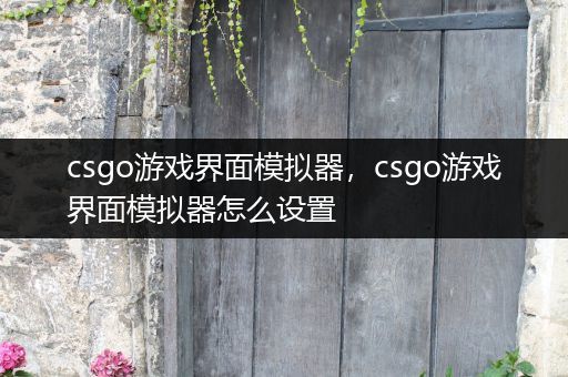 csgo游戏界面模拟器，csgo游戏界面模拟器怎么设置