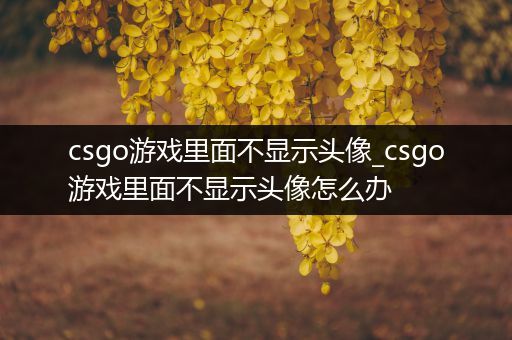 csgo游戏里面不显示头像_csgo游戏里面不显示头像怎么办