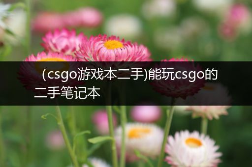 （csgo游戏本二手)能玩csgo的二手笔记本