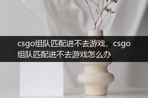 csgo组队匹配进不去游戏，csgo组队匹配进不去游戏怎么办