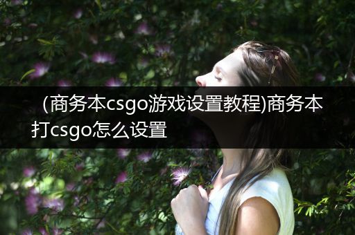 （商务本csgo游戏设置教程)商务本打csgo怎么设置