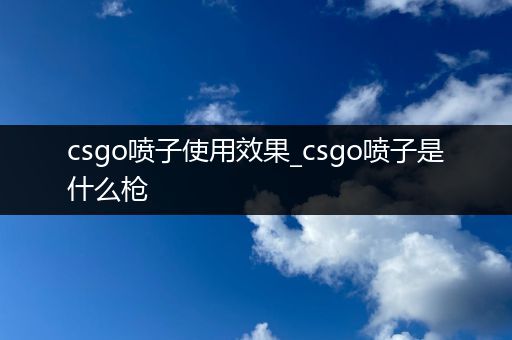 csgo喷子使用效果_csgo喷子是什么枪