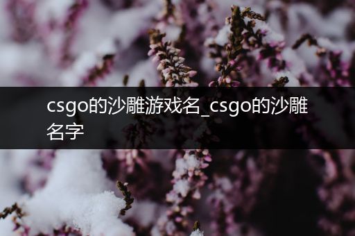 csgo的沙雕游戏名_csgo的沙雕名字