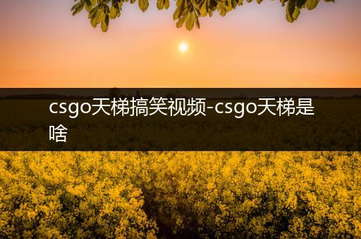 csgo天梯搞笑视频-csgo天梯是啥