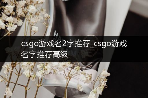 csgo游戏名2字推荐_csgo游戏名字推荐高级