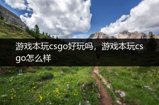 游戏本玩csgo好玩吗，游戏本玩csgo怎么样