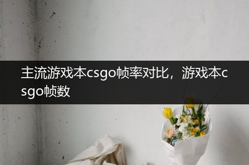 主流游戏本csgo帧率对比，游戏本csgo帧数