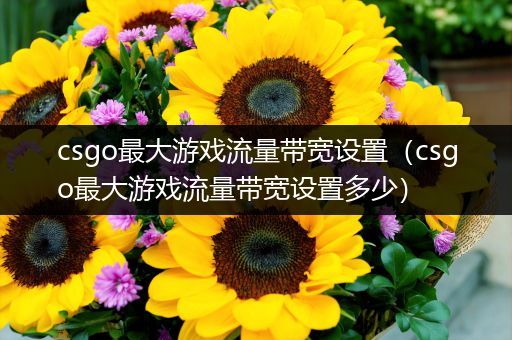 csgo最大游戏流量带宽设置（csgo最大游戏流量带宽设置多少）