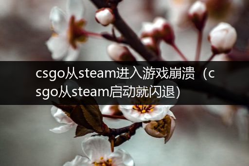 csgo从steam进入游戏崩溃（csgo从steam启动就闪退）