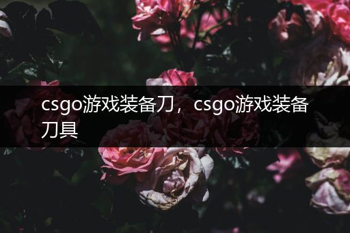 csgo游戏装备刀，csgo游戏装备刀具
